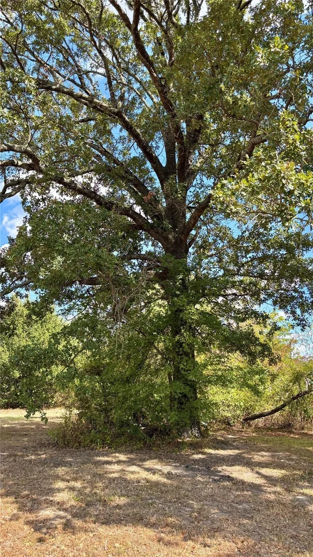 Photo of 169 Navajo