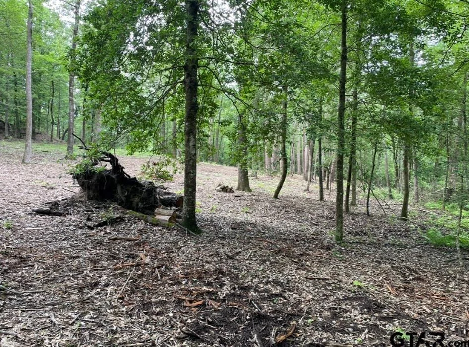 Photo of 1688 County Road 1597