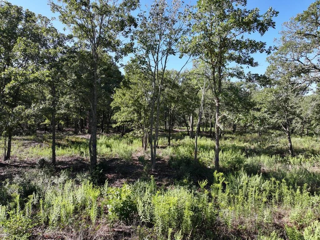 Photo of 8602 CR 2448