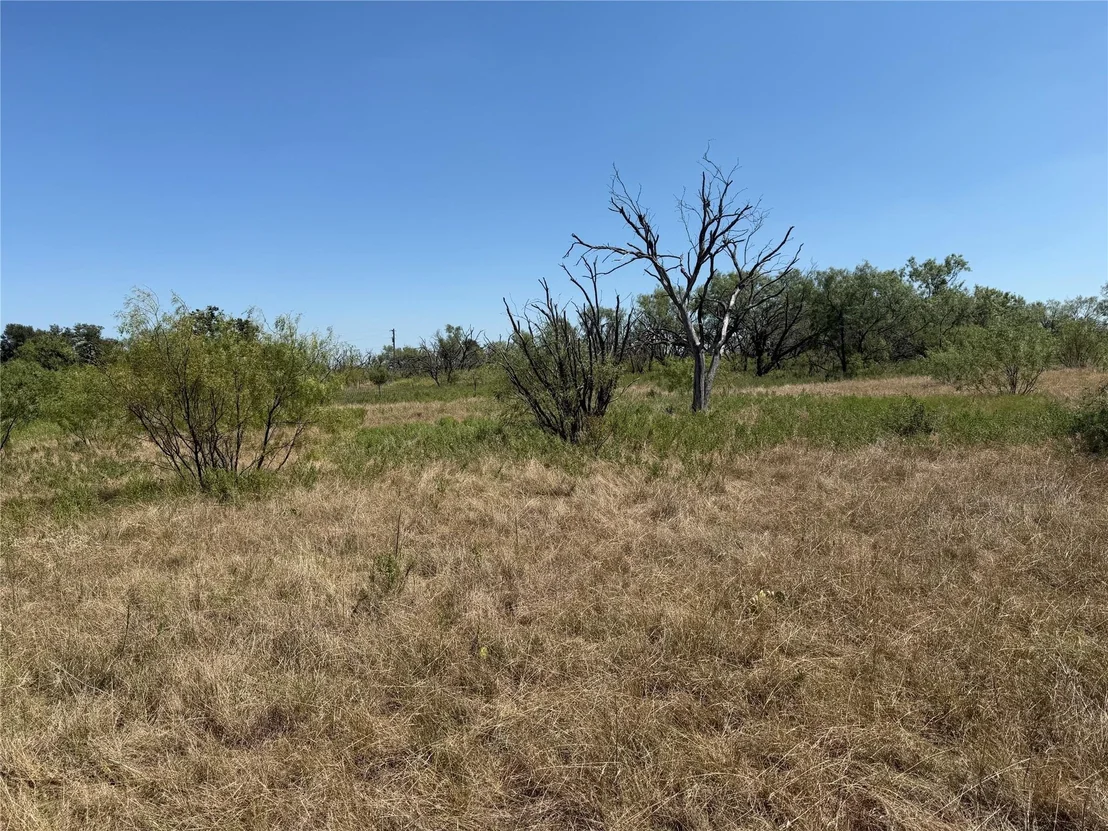 Photo of 501 County Road 376