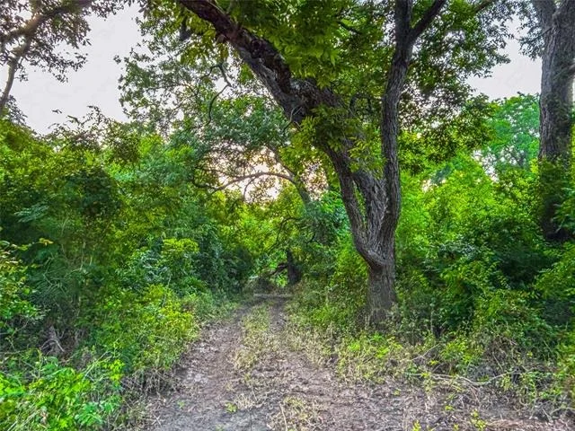 Photo of 524 County Road 453