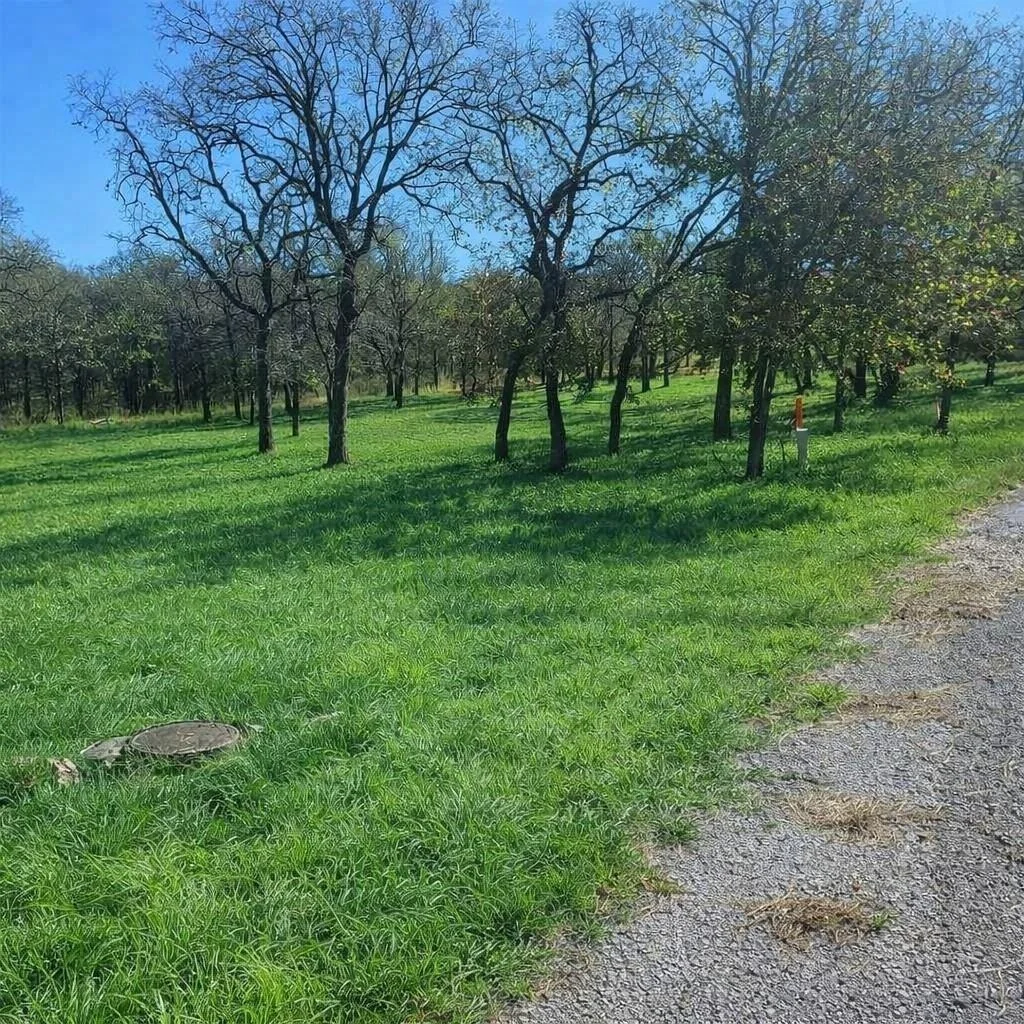 Photo of 196 Johnston Lane