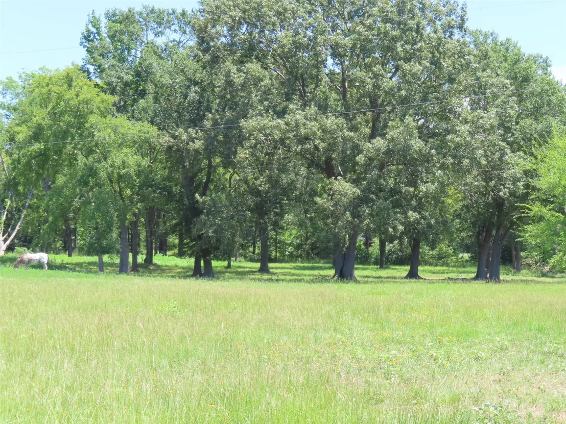 Photo of 2099 County Road 3420