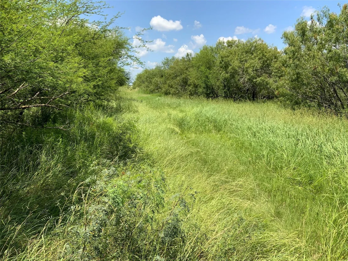 Photo of 14135 County Road 1144