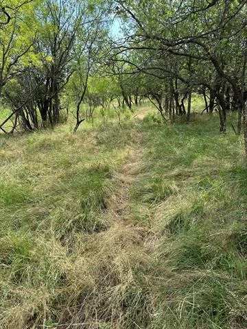 Photo of Tract 19 AC CR 150