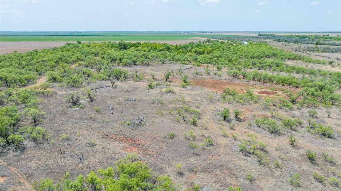 Photo of 11270 County Road 202