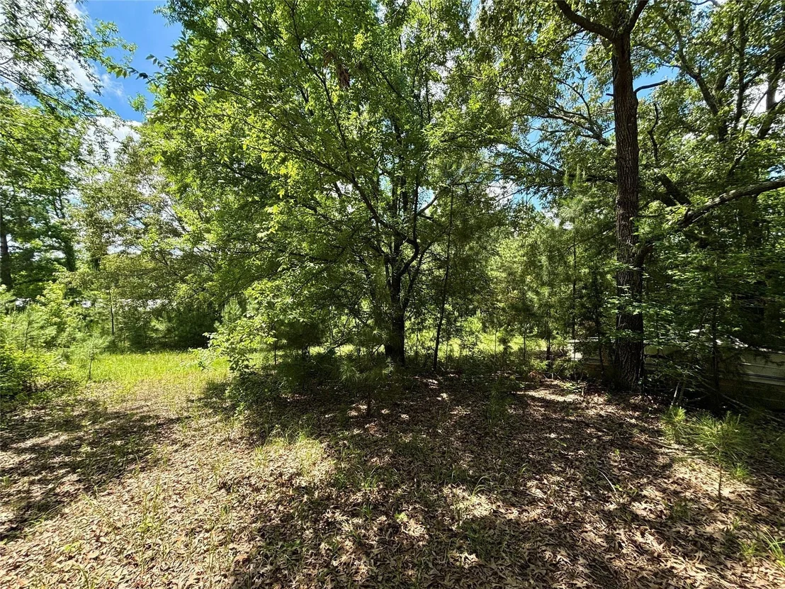 Photo of 5982 Doe Trail