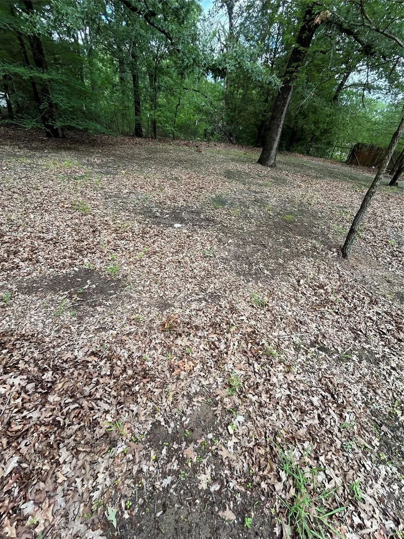 Photo of 11115 Cedar Drive