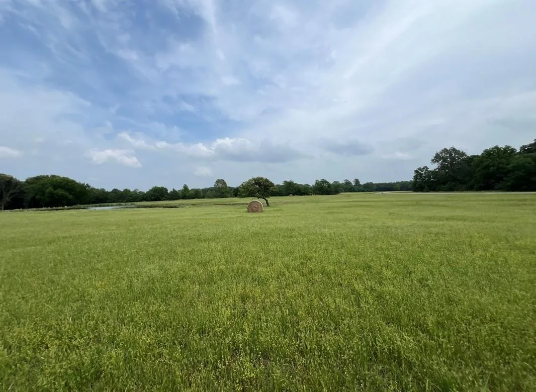 Photo of TBD PR 5291