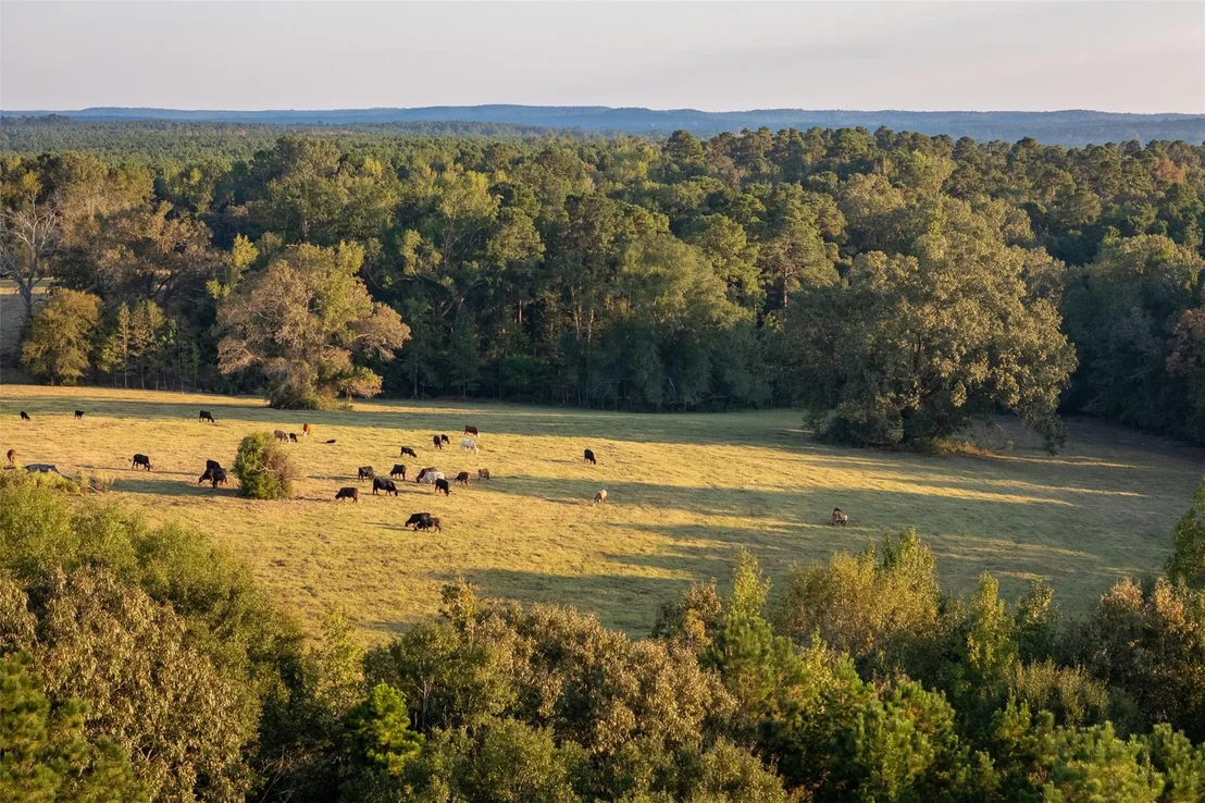 Photo of 973 County Road 2572