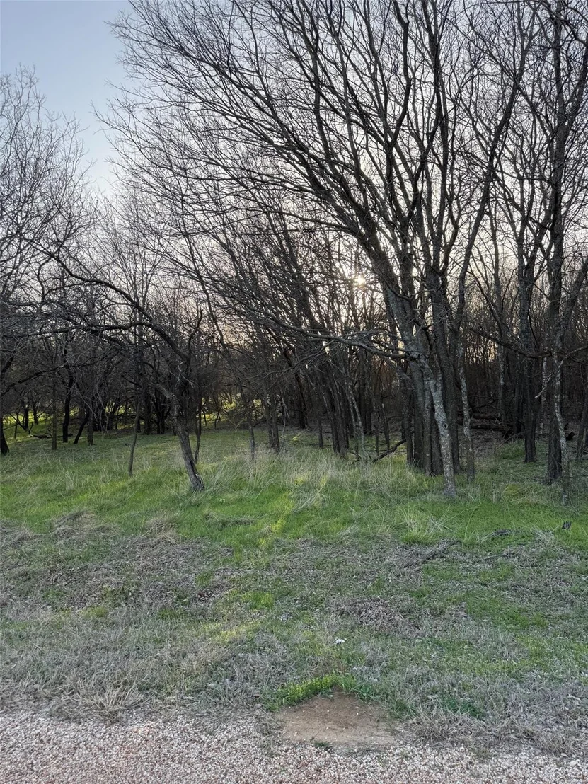 Photo of 12147 Trailwood Drive