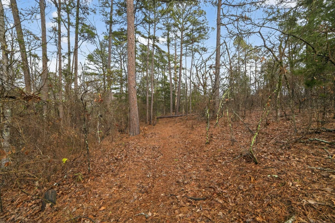 Photo of 868 County Road 2920