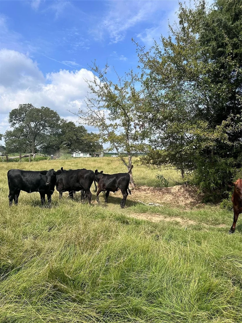 Photo of 200 VZ CR 2422