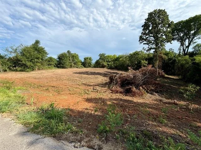 Photo of 13358 Nance Lane