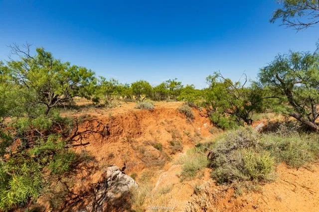 Photo of 1363 County Road 441