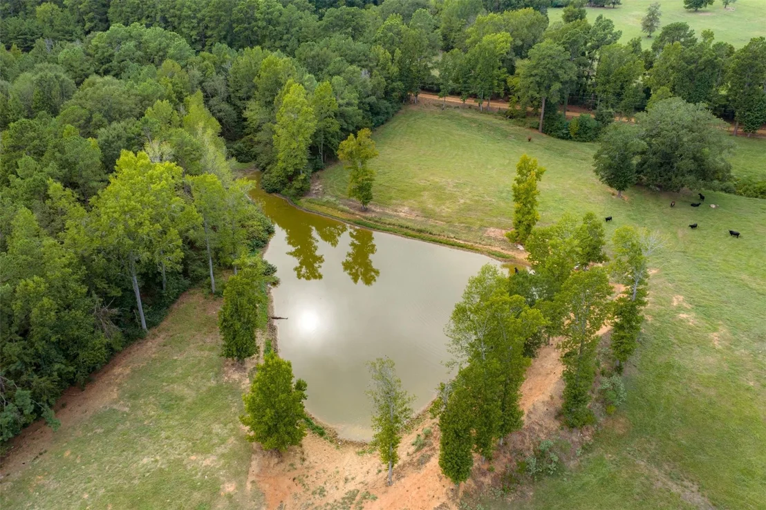 Photo of 3219 County Road 1508