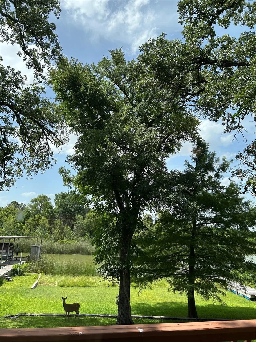 Photo of 9520 Heron Drive