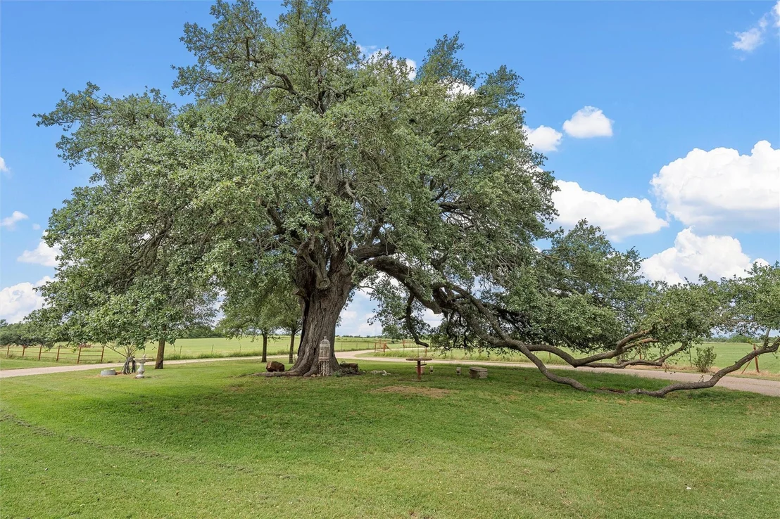 Photo of 654 County Road 473