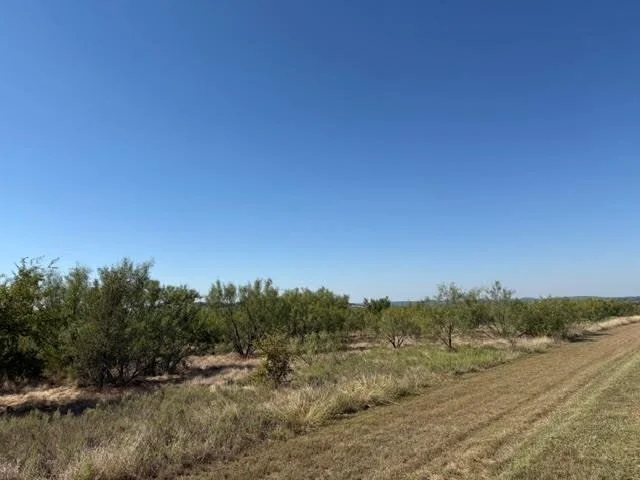Photo of 2045 Canyon Wren Loop