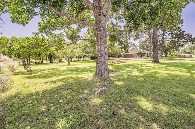 Photo of 1233 Stegall Road