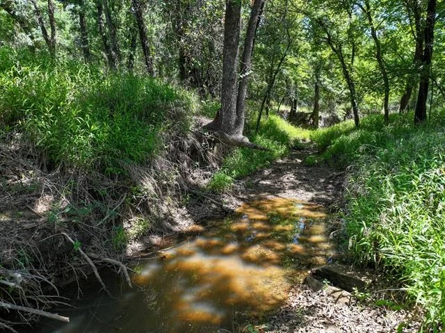 Photo of 18156 Hwy 281 N