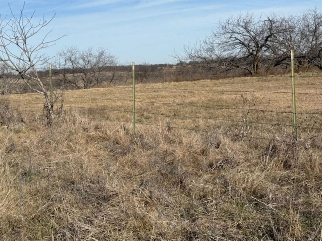 Photo of 363 County Road 4403