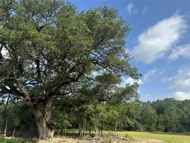 Photo of 318 Whitetail Drive