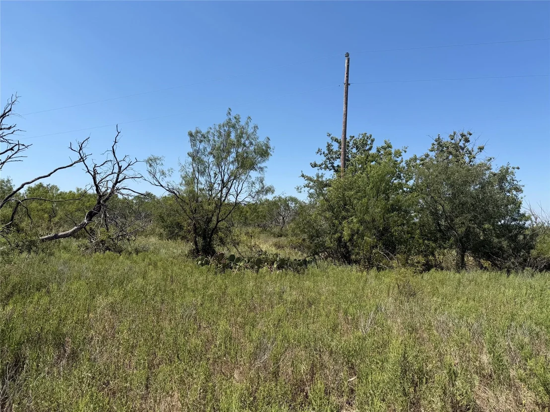 Photo of 501 County Road 376
