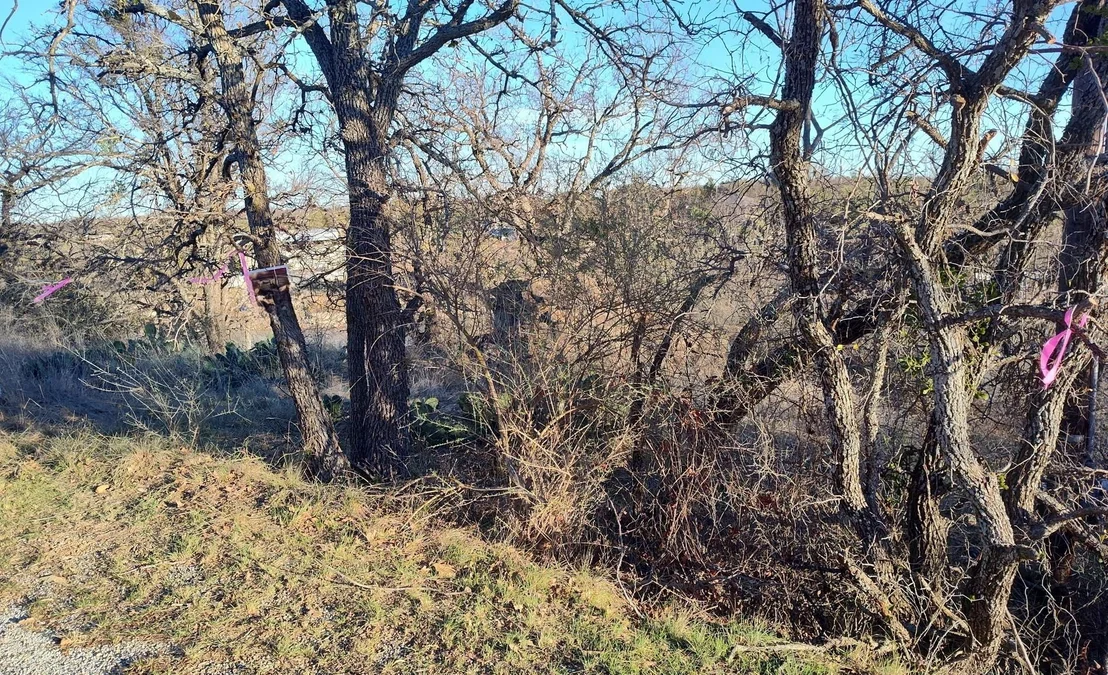 Photo of 56 Brook Valley Drive