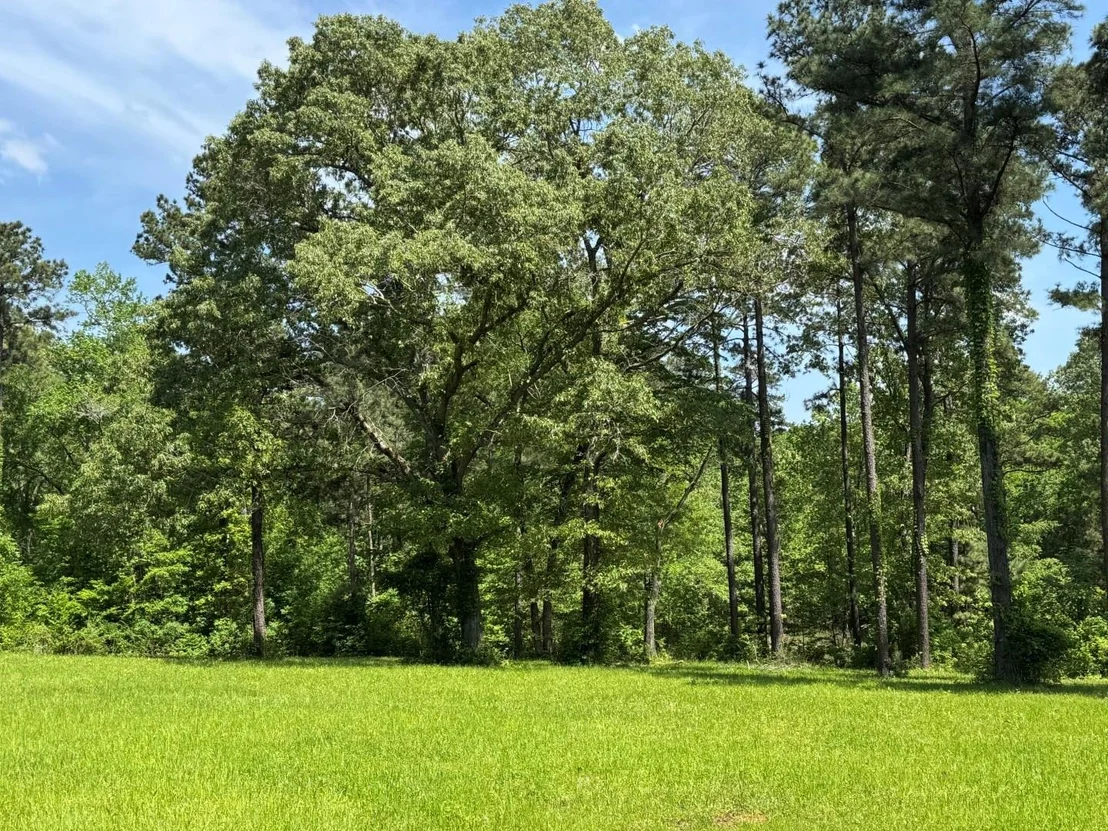 Photo of 16649 County Road 4252D