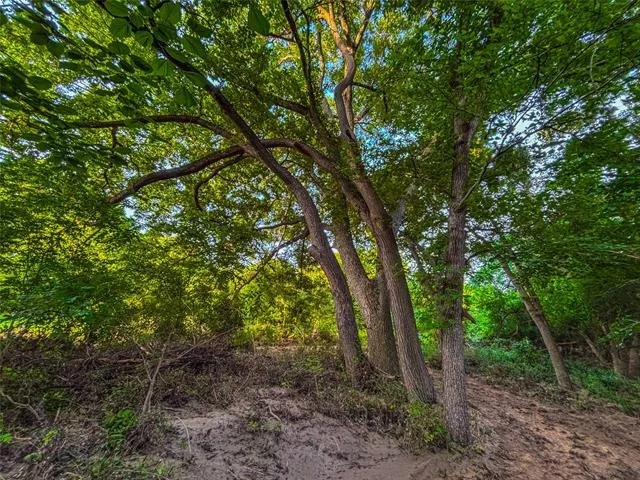 Photo of 524 County Road 453