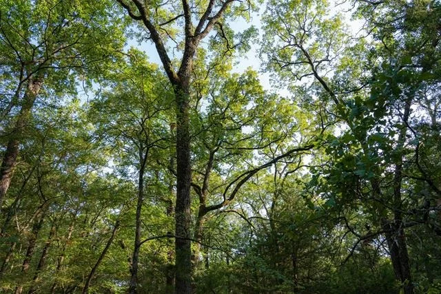 Photo of 10100 County Road 4028