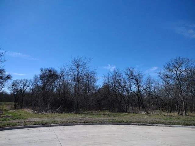 Photo of 4172 Willow Oak Bend