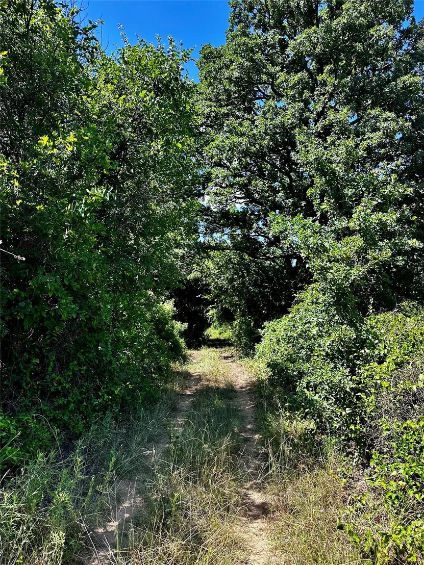 Photo of 25300 State Highway 279