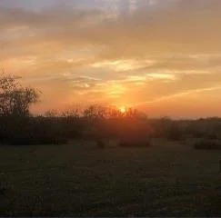 Photo of 1210 County Road 341