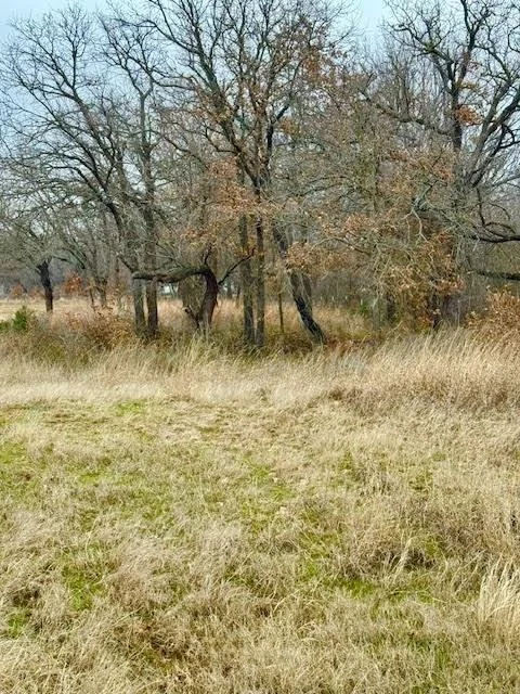Photo of 702 County Road 3597