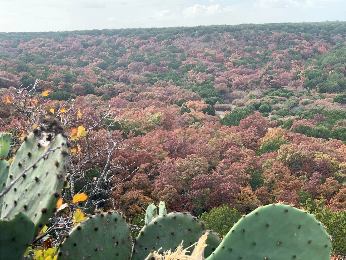 Photo of 635 County Road 184