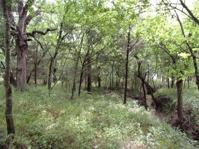 Photo of 4188 Willow Oak Bend