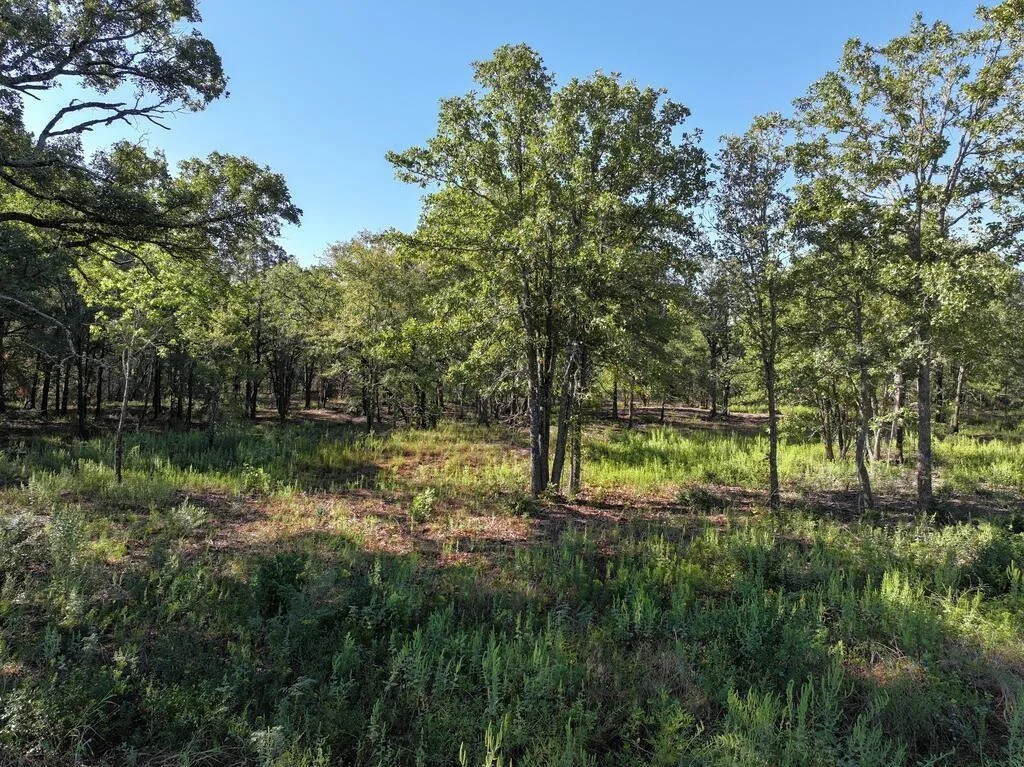 Photo of 8602 CR 2448
