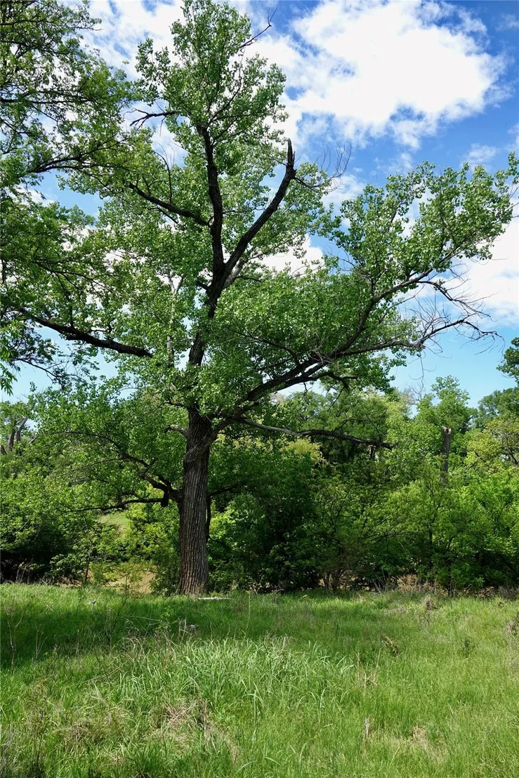 Photo of 588 County Road 430