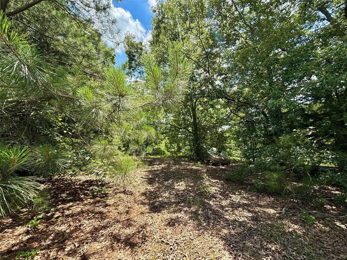 Photo of 5982 Doe Trail