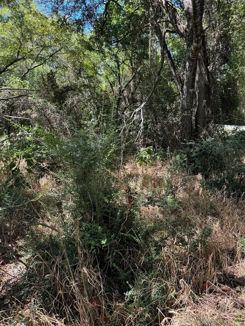 Photo of 15037 Golf Drive
