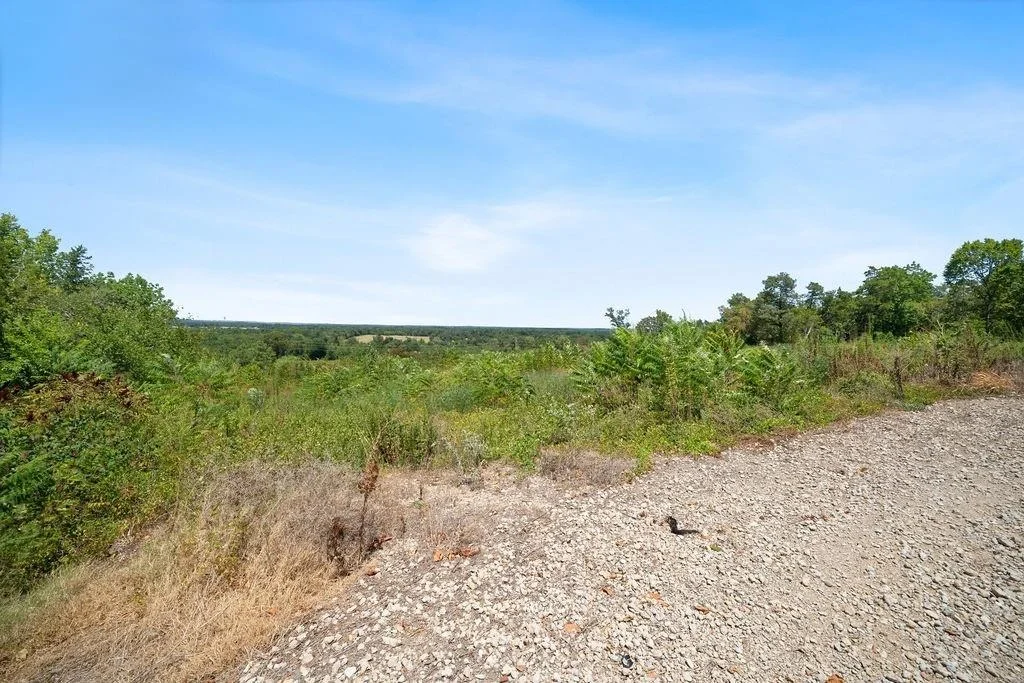 Photo of 551 County Road 4203