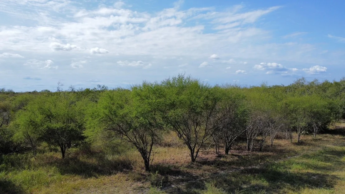 Photo of 14135 County Road 1144