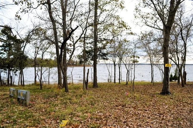 Photo of 213 County Road 1997