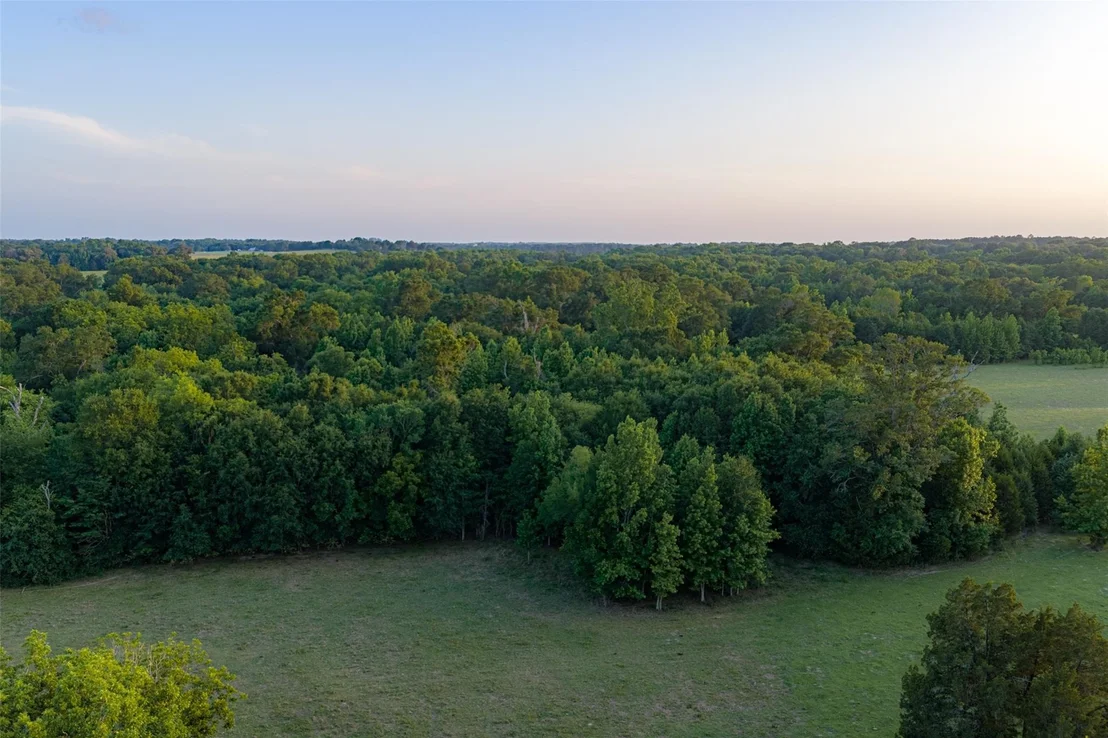 Photo of 13612 County Road 3900