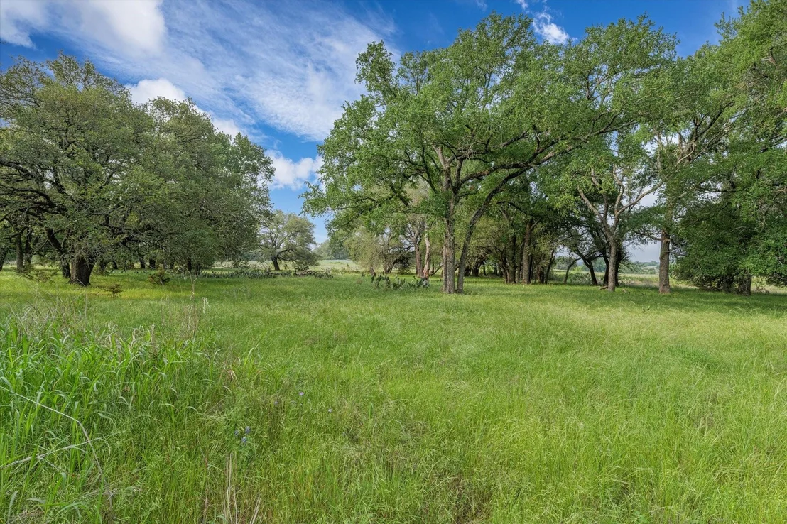Photo of 254 Guadalupe Drive