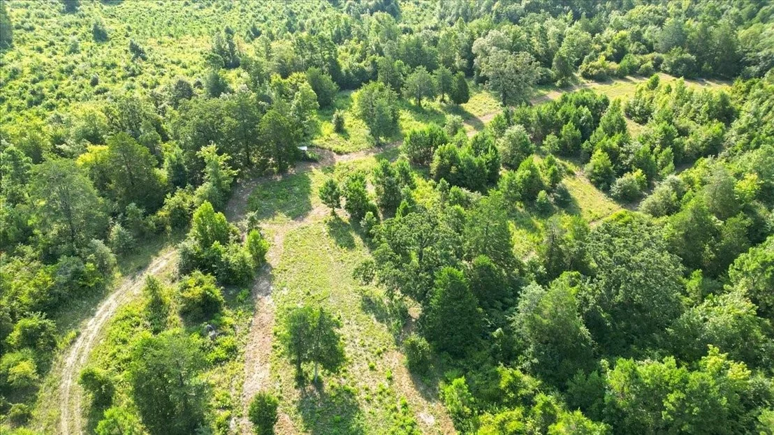 Photo of 102 Private Road 3174