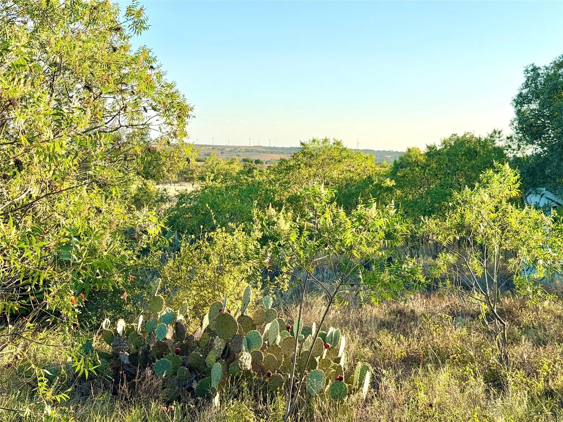 Photo of 37 Pr 224