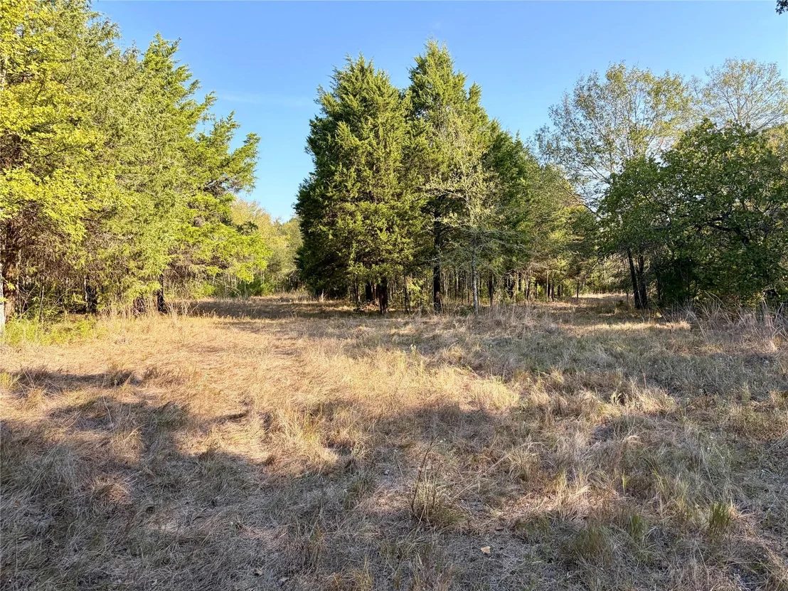 Photo of 10740 N Us-175